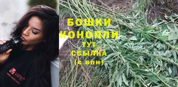 амф Заречный