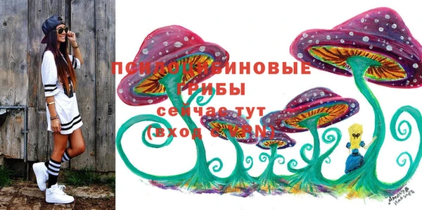 прущие крисы Беломорск