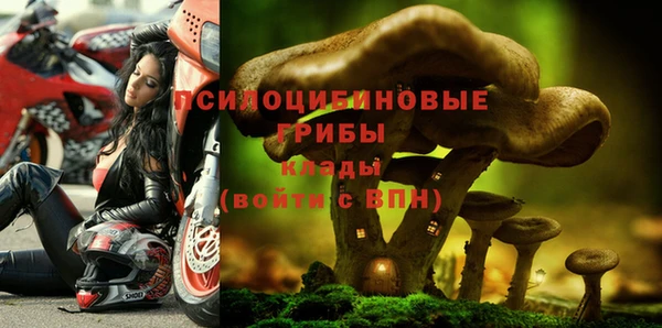 гидропоника Белокуриха