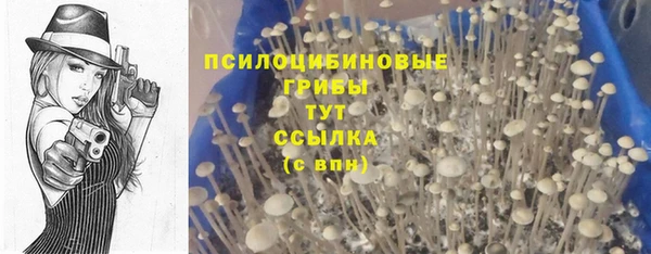 apvp Бородино