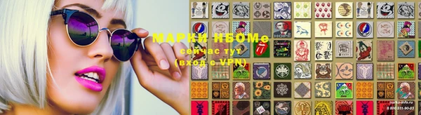 apvp Бородино