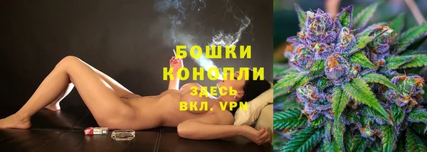 гидропоника Белокуриха