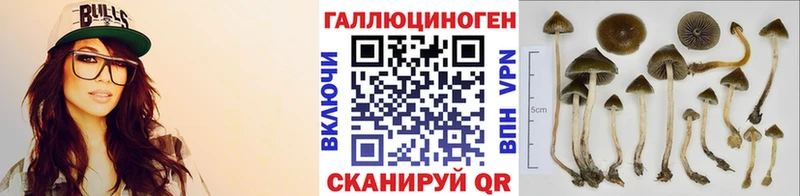 Галлюциногенные грибы GOLDEN TEACHER  OMG   Гудермес 