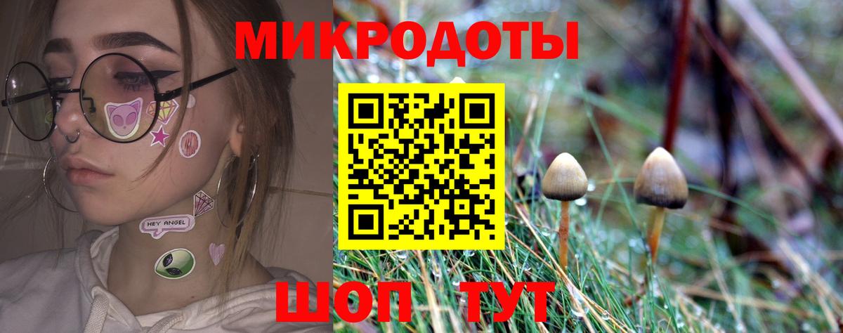 Гудермес  наркотики  Вход с VPN  Галлюциногенные грибы Cubensis 